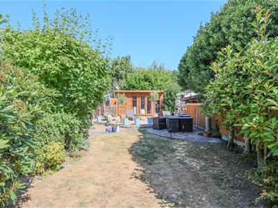 Picture 24